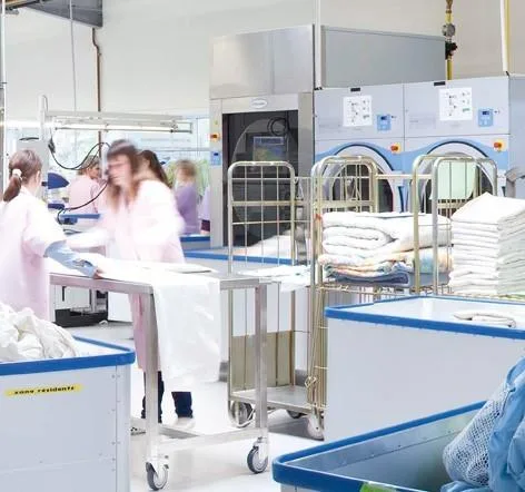 Curatatorie - spalatorie profesionala