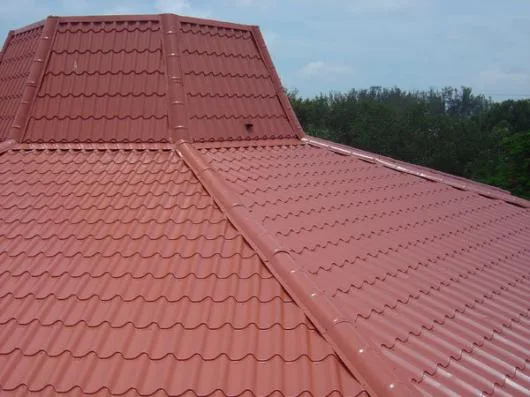 Reparatii Montare Acoperis