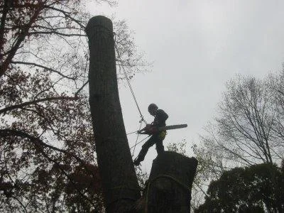 Amenajari - alpinism utilitar