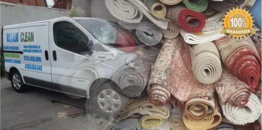 CURATATORIA DE COVOARE VITAN