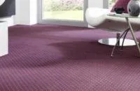 CURATATORIA DE COVOARE VITAN