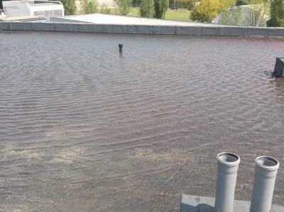 Hidroizolatii Profesionale Bucuresti