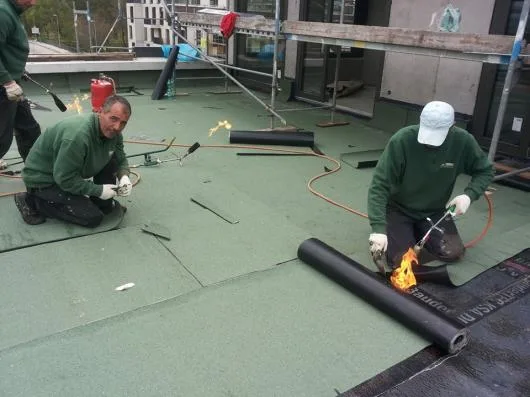 Hidroizolatii Profesionale Bucuresti