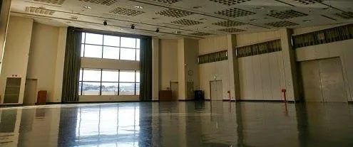 Deratizare - dezinfectie - dezinsectie - Bucuresti si Ilfov