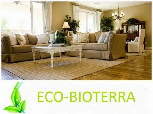 Deratizare - dezinfectie - dezinsectie - Bucuresti si Ilfov