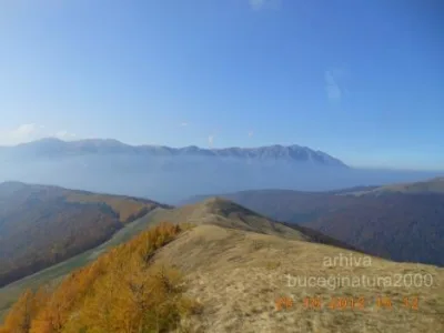 Cadastru - intabulare - studii topo - Targoviste
