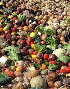 Eco Neutralizare Grindasi