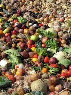 Eco Neutralizare Grindasi