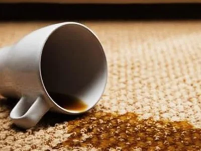 Servicii profesionale de curatatorie ecologic sector 3