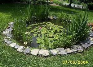 GARDEN PARADISE