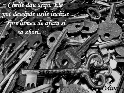 Copiat Chei Centru Vechi Bucuresti