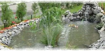 GARDEN PARADISE