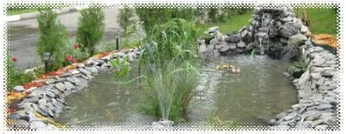 GARDEN PARADISE