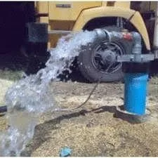 Foraje puturi Bucuresti