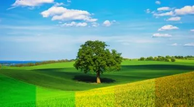 Auditor Energetic pentru Cladiri Bucuresti - Ilfov