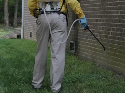 Deratizare - dezinsectie si dezinfectie Bucuresti