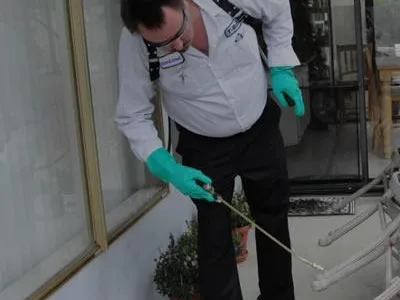 Deratizare - dezinsectie si dezinfectie Bucuresti