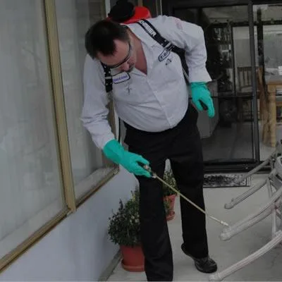 Deratizare - dezinsectie si dezinfectie Bucuresti