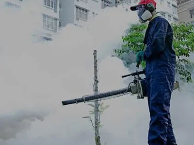 Deratizare - dezinsectie si dezinfectie Bucuresti