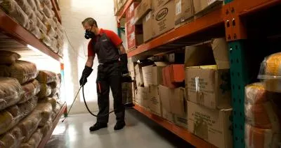 Deratizare - dezinsectie si dezinfectie Bucuresti