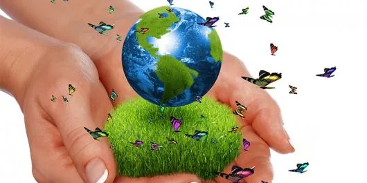 Smart Ecologic Consulting autorizatii mediu Bucuresti