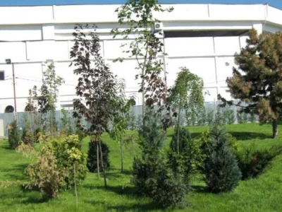 Cluj -Napoca - Amenajari spatii verzi