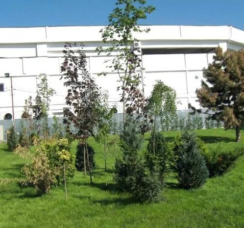 Cluj -Napoca - Amenajari spatii verzi