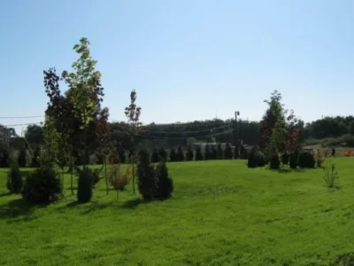 Cluj -Napoca - Amenajari spatii verzi