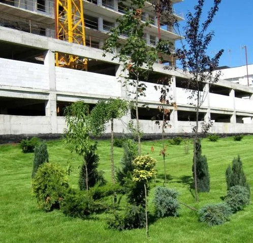 Cluj -Napoca - Amenajari spatii verzi