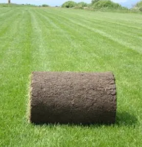 Cluj -Napoca - Amenajari spatii verzi