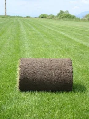 Cluj -Napoca - Amenajari spatii verzi