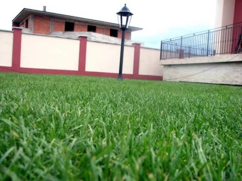 Cluj -Napoca - Amenajari spatii verzi