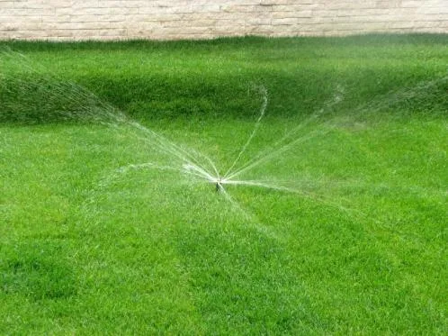 Cluj -Napoca - Amenajari spatii verzi