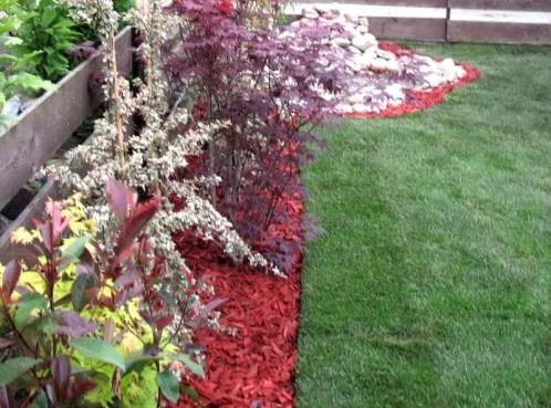 Cluj -Napoca - Amenajari spatii verzi