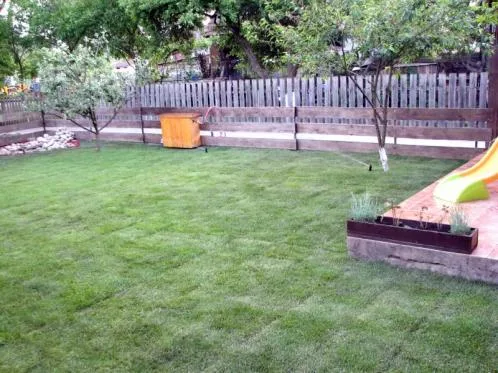 Cluj -Napoca - Amenajari spatii verzi