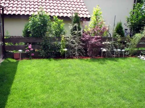 Cluj -Napoca - Amenajari spatii verzi