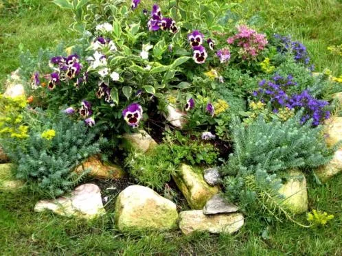 Cluj -Napoca - Amenajari spatii verzi