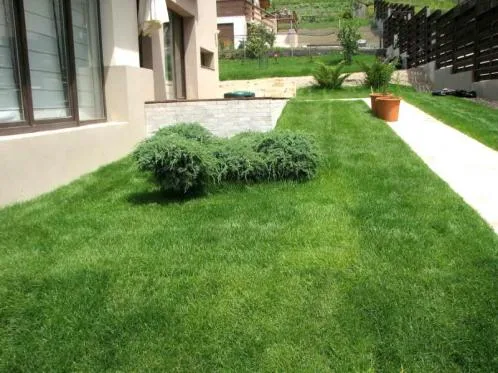 Cluj -Napoca - Amenajari spatii verzi