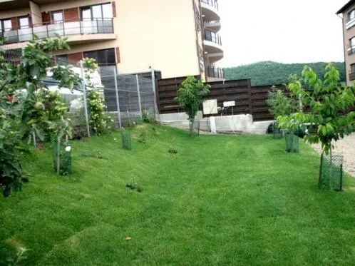 Cluj -Napoca - Amenajari spatii verzi