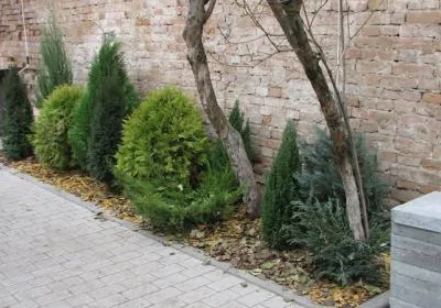 Cluj -Napoca - Amenajari spatii verzi