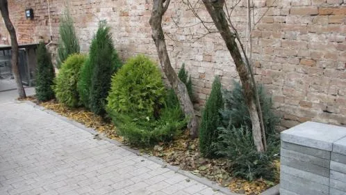 Cluj -Napoca - Amenajari spatii verzi