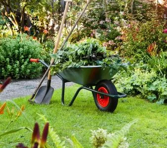 Flora Service Servicii gradinarit Neamt