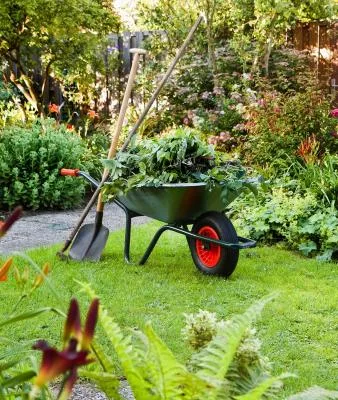 Flora Service Servicii gradinarit Neamt