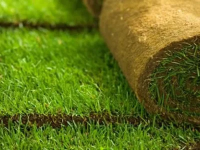 Flora Service Servicii gradinarit Neamt
