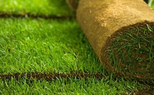 Flora Service Servicii gradinarit Neamt