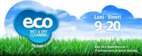 Spalatorie si curatatorie Arad