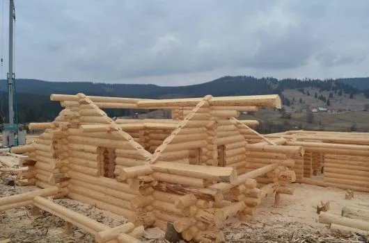 Case din busteni si mobilier de gradina Suceava