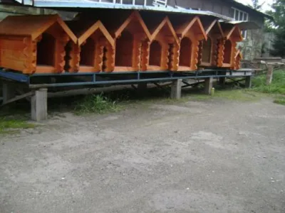Construire case de lemn - Gheorgheni / Harghita