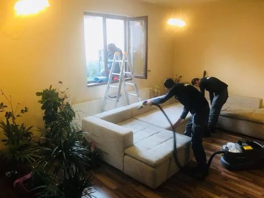 Greenstar Services curatenie Ploiesti