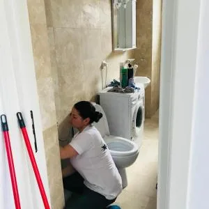 Greenstar Services curatenie Ploiesti